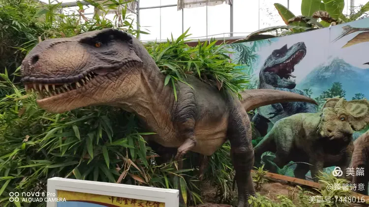 河北省故城县以岭康养庄园之中国金蝉文化馆